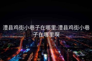 澧縣雞街小巷子在哪里:澧縣雞街小巷子在哪里啊