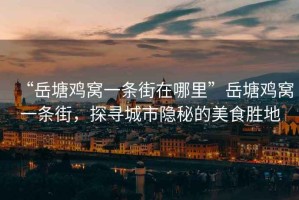 “岳塘雞窩一條街在哪里”岳塘雞窩一條街，探尋城市隱秘的美食勝地