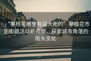 “攀枝花哪里有站大街的”攀枝花市區(qū)街道活動新觀察，探索城市角落的街頭文化