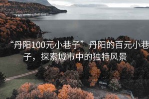 “丹陽100元小巷子”丹陽的百元小巷子，探索城市中的獨特風景