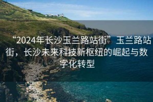 “2024年長沙玉蘭路站街”玉蘭路站街，長沙未來科技新樞紐的崛起與數(shù)字化轉(zhuǎn)型