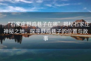 “石家莊野雞巷子在哪”揭秘石家莊神秘之地，探尋野雞巷子的位置與故事