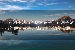 “石河子站街的便宜巷子”石河子站街的便宜巷子，城市中的隱秘寶藏