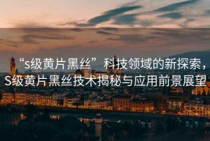 “s級黃片黑絲”科技領域的新探索，S級黃片黑絲技術揭秘與應用前景展望