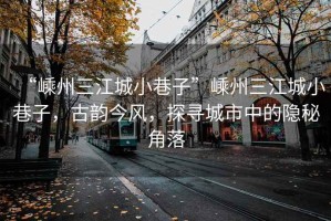 “嵊州三江城小巷子”嵊州三江城小巷子，古韻今風，探尋城市中的隱秘角落