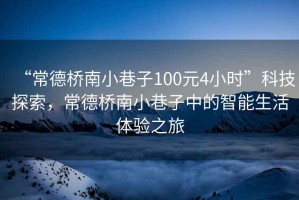 “常德橋南小巷子100元4小時”科技探索，常德橋南小巷子中的智能生活體驗之旅