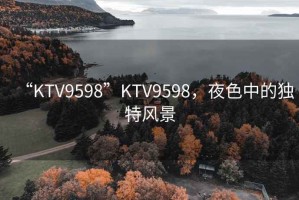 “KTV9598”KTV9598，夜色中的獨特風(fēng)景