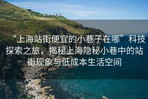 “上海站街便宜的小巷子在哪”科技探索之旅，揭秘上海隱秘小巷中的站街現(xiàn)象與低成本生活空間