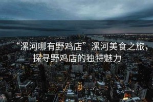 “漯河哪有野雞店”漯河美食之旅，探尋野雞店的獨(dú)特魅力