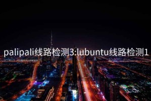 palipali線路檢測(cè)3:lubuntu線路檢測(cè)1
