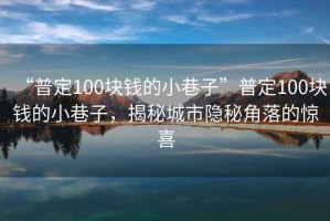 “普定100塊錢的小巷子”普定100塊錢的小巷子，揭秘城市隱秘角落的驚喜