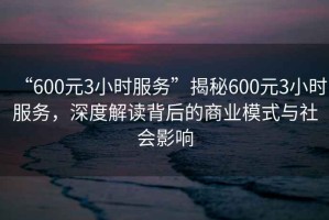 “600元3小時服務”揭秘600元3小時服務，深度解讀背后的商業(yè)模式與社會影響