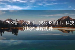“98是什么項(xiàng)目”揭秘98項(xiàng)目，科技領(lǐng)域的璀璨明珠