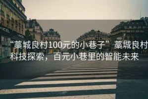 “藁城良村100元的小巷子”藁城良村科技探索，百元小巷里的智能未來