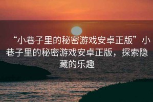“小巷子里的秘密游戲安卓正版”小巷子里的秘密游戲安卓正版，探索隱藏的樂趣
