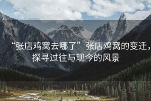“張店雞窩去哪了”張店雞窩的變遷，探尋過往與現(xiàn)今的風景