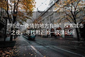 “附近一夜情的地方有嗎”探索城市之夜，尋找附近的一夜情場(chǎng)所