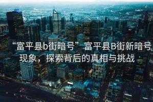 “富平縣b街暗號”富平縣B街新暗號現(xiàn)象，探索背后的真相與挑戰(zhàn)