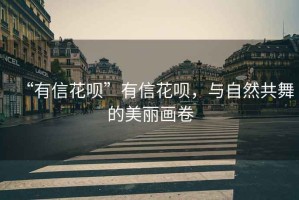 “有信花唄”有信花唄，與自然共舞的美麗畫卷