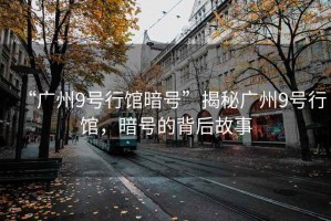 “廣州9號行館暗號”揭秘廣州9號行館，暗號的背后故事