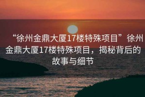 “徐州金鼎大廈17樓特殊項目”徐州金鼎大廈17樓特殊項目，揭秘背后的故事與細節(jié)