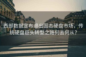 西部數(shù)據(jù)宣布退出固態(tài)硬盤(pán)市場(chǎng)，傳統(tǒng)硬盤(pán)巨頭轉(zhuǎn)型之路何去何從？