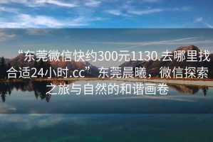 “東莞微信快約300元1130.去哪里找合適24小時(shí).cc”東莞晨曦，微信探索之旅與自然的和諧畫(huà)卷