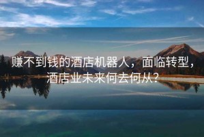 賺不到錢的酒店機(jī)器人，面臨轉(zhuǎn)型，酒店業(yè)未來(lái)何去何從？