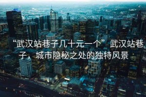 “武漢站巷子幾十元一個”武漢站巷子，城市隱秘之處的獨(dú)特風(fēng)景