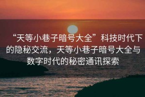 “天等小巷子暗號大全”科技時代下的隱秘交流，天等小巷子暗號大全與數(shù)字時代的秘密通訊探索