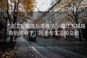 “溫江五福路后面巷子”溫江五福路背后的巷子，歷史與生活的交織