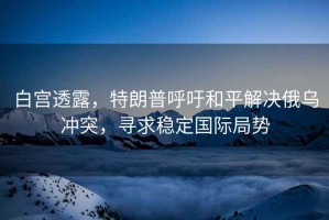 白宮透露，特朗普呼吁和平解決俄烏沖突，尋求穩(wěn)定國際局勢