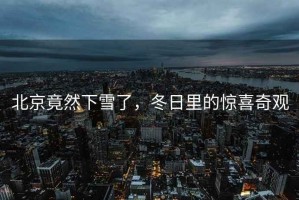 北京竟然下雪了，冬日里的驚喜奇觀