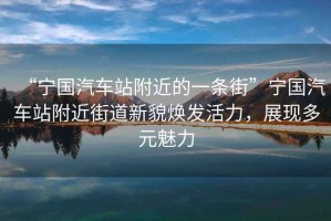 “寧國(guó)汽車站附近的一條街”寧國(guó)汽車站附近街道新貌煥發(fā)活力，展現(xiàn)多元魅力