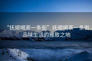“撫順喝茶一條街”撫順喝茶一條街，品味生活的雅致之地
