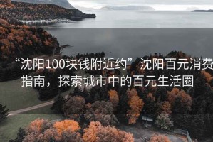 “沈陽100塊錢附近約”沈陽百元消費指南，探索城市中的百元生活圈