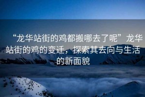 “龍華站街的雞都搬哪去了呢”龍華站街的雞的變遷，探索其去向與生活的新面貌