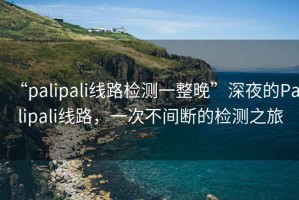 “palipali線路檢測一整晚”深夜的Palipali線路，一次不間斷的檢測之旅