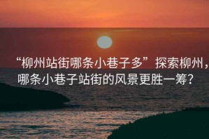 “柳州站街哪條小巷子多”探索柳州，哪條小巷子站街的風(fēng)景更勝一籌？