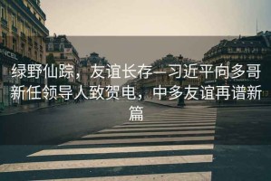 綠野仙蹤，友誼長(zhǎng)存—習(xí)近平向多哥新任領(lǐng)導(dǎo)人致賀電，中多友誼再譜新篇
