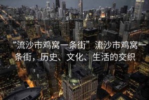 “流沙市雞窩一條街”流沙市雞窩一條街，歷史、文化、生活的交織