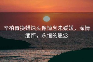 辛柏青換蠟燭頭像悼念朱媛媛，深情緬懷，永恒的思念
