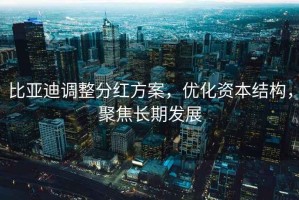 比亞迪調(diào)整分紅方案，優(yōu)化資本結(jié)構(gòu)，聚焦長期發(fā)展