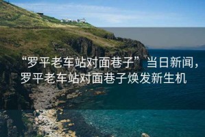 “羅平老車站對(duì)面巷子”當(dāng)日新聞，羅平老車站對(duì)面巷子煥發(fā)新生機(jī)