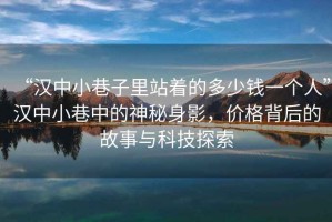 “漢中小巷子里站著的多少錢一個人”漢中小巷中的神秘身影，價格背后的故事與科技探索