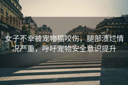 女子不幸被寵物貓咬傷，腿部潰爛情況嚴(yán)重，呼吁寵物安全意識(shí)提升