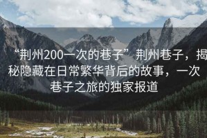 “荊州200一次的巷子”荊州巷子，揭秘隱藏在日常繁華背后的故事，一次巷子之旅的獨(dú)家報(bào)道