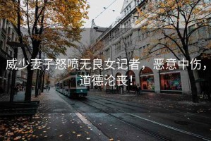 威少妻子怒噴無良女記者，惡意中傷，道德淪喪！