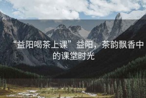 “益陽喝茶上課”益陽，茶韻飄香中的課堂時光