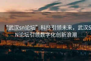 “武漢sn論壇”科技引領(lǐng)未來，武漢SN論壇引領(lǐng)數(shù)字化創(chuàng)新浪潮